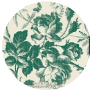 繁花之水（洗护）